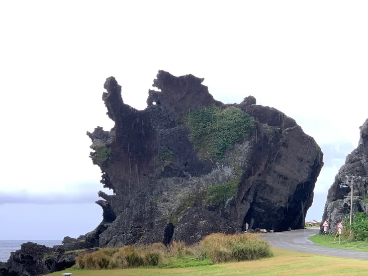 龍頭岩，大家可以看圖找找看看得到幾隻龍；話說龍頭岩也是羊的寶地，你有看到一隻羊在上面嗎？