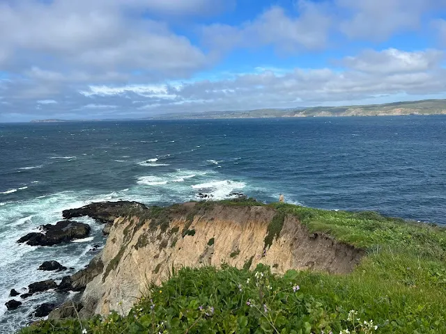 ▲終於走到了盡頭, Tomales Point (看看人家老先生就這樣走下去看海)