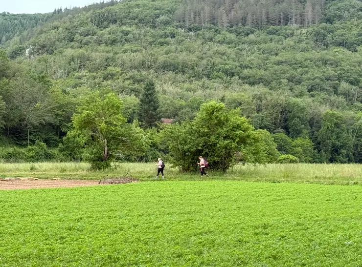 三三兩兩健行的人點綴著青青草原