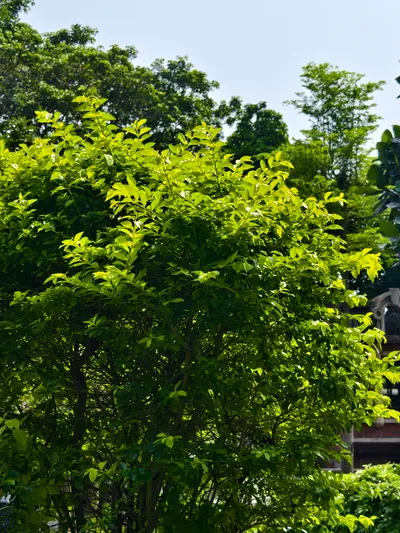 《靈學體驗-高我訊息》