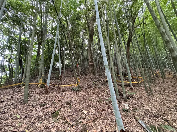 上坡後跨過黃色布條續行