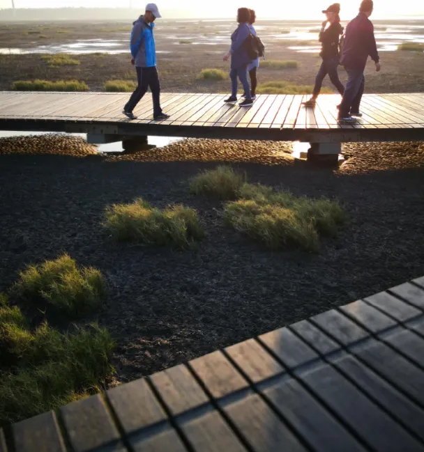 高美濕地免費又好逛：不用門票，停車也方便，情侶、家庭、獨行俠都適合