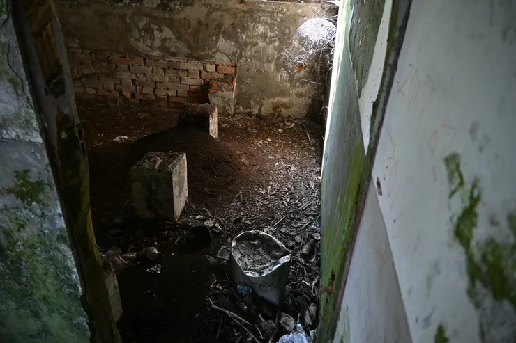 一堆一堆的聽朋友說是蝙蝠大便