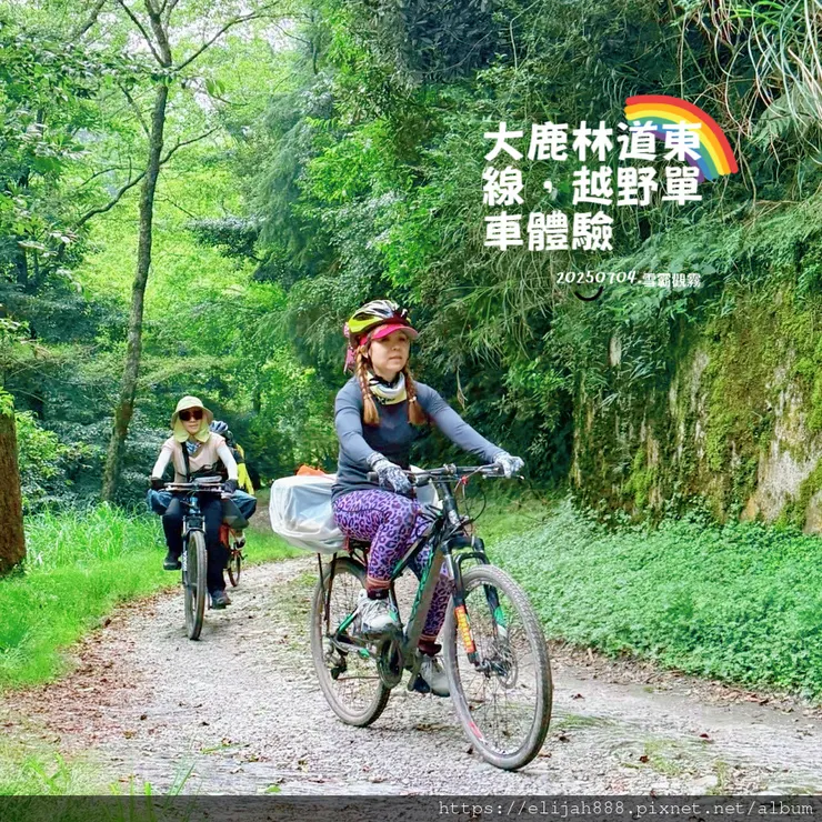 【大霸群峰4百岳。兩天一夜】觀霧大鹿林道東線騎越野單車/馬達