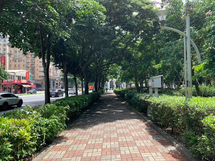 光影錯落間的街道一隅