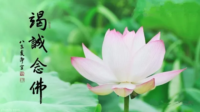 一向專念 阿彌陀佛 求生淨土