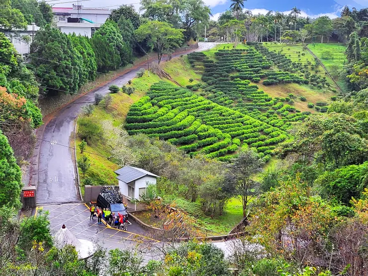 10:20返回登山口，雨已暫歇
