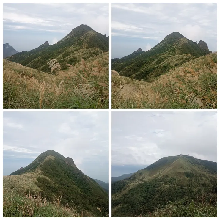 沿線山嵐均是芒草，可眺望草山雷達