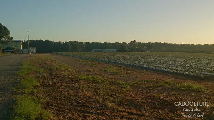 離開 Caboolture 的清晨，再見了，生活三周的地方