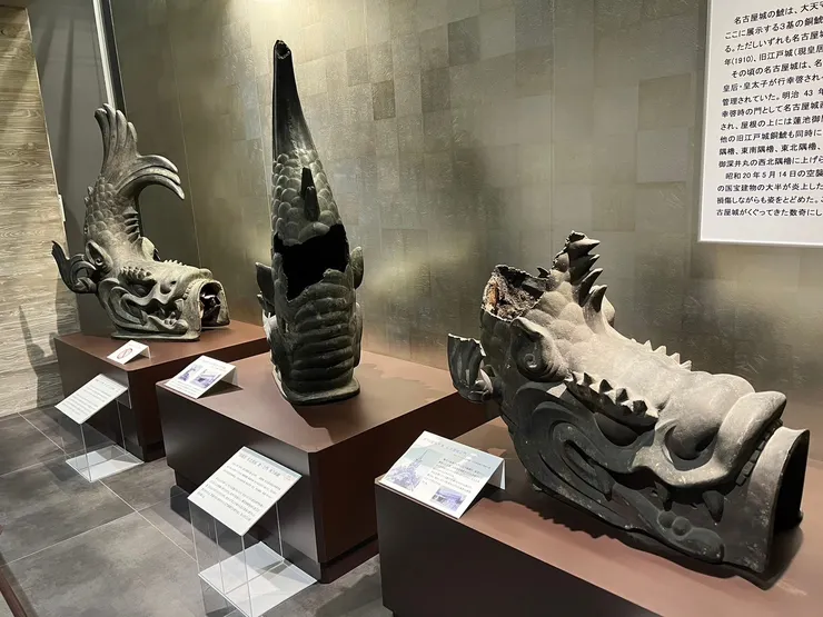 好像就是這條魚