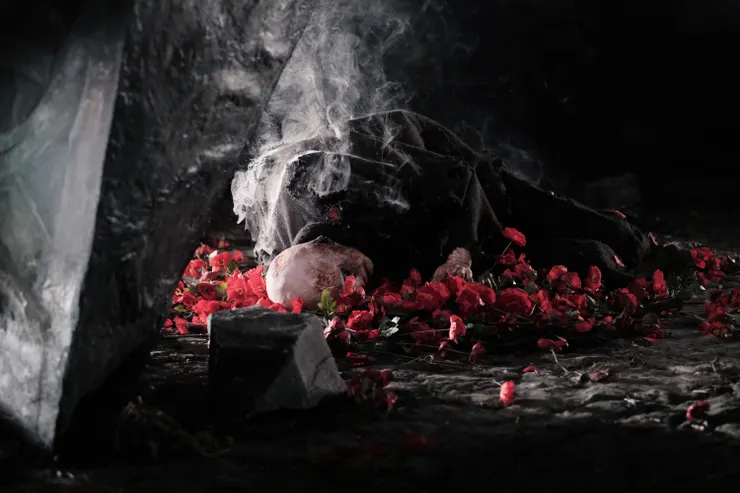 照片由好威映象提供