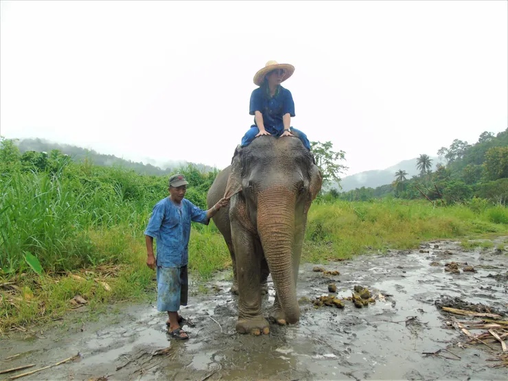 但...怎麼下來勒？🤔