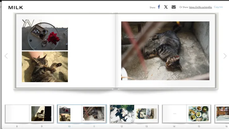 預覽的頁面，彷彿在翻閱實體書
