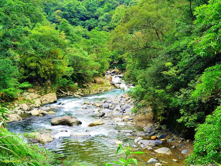 桶後越嶺道烏來端登山口