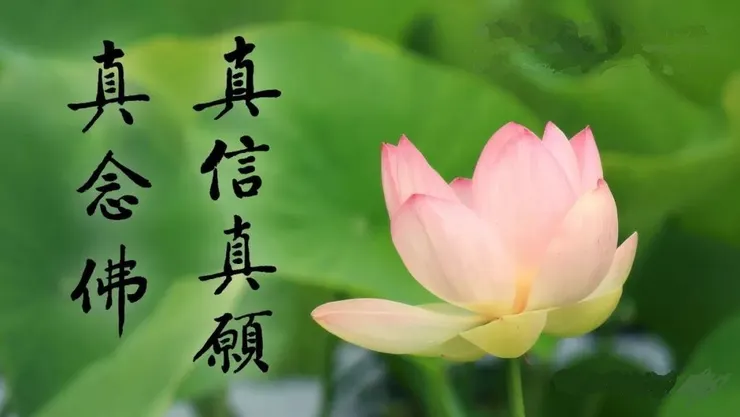 專心持念「阿彌陀佛」萬德洪名，期生淨土