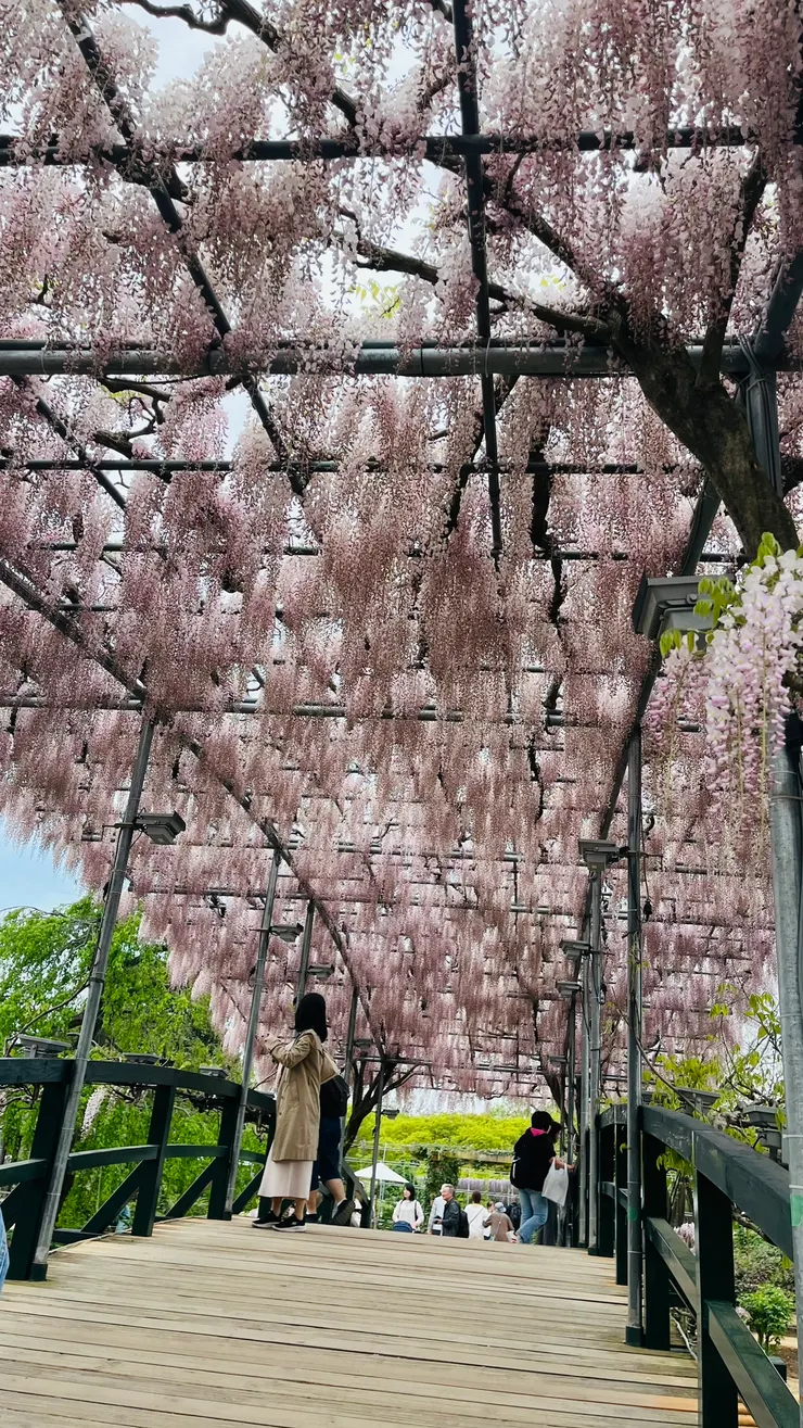 不得不說園內很會設計造景。