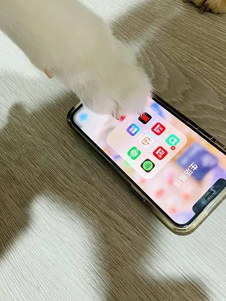 【平台】GoingBus 串流媒體共乘平台｜帳號共享合租，N