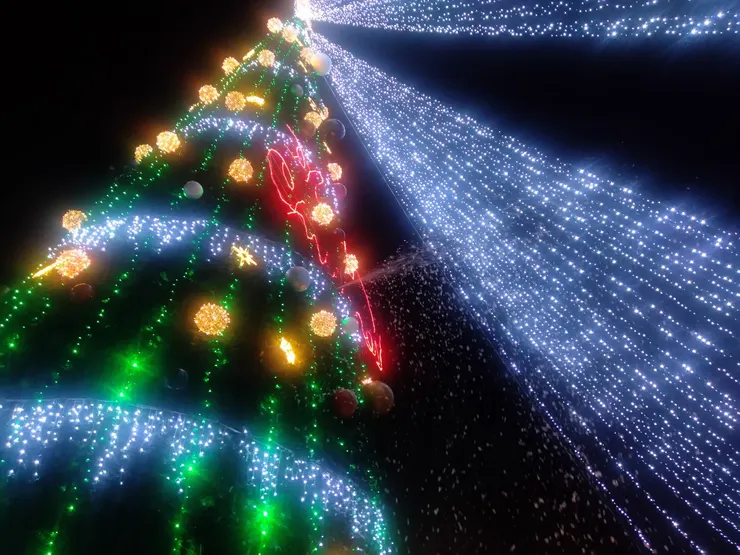 2024高雄市聖誕樹