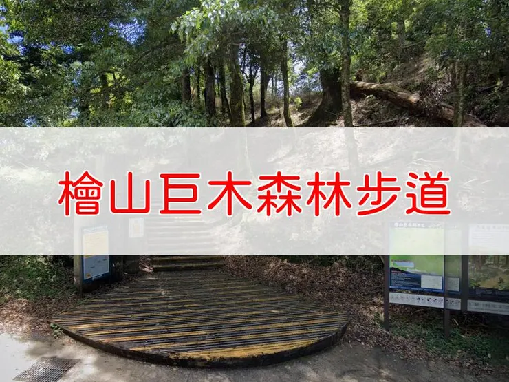 【新竹】森遊竹縣-檜山巨木森林步道 | 全長:4公里 | 難度:低-中