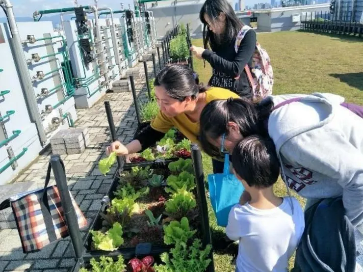 青創戶徵件簡章中的活動示意圖