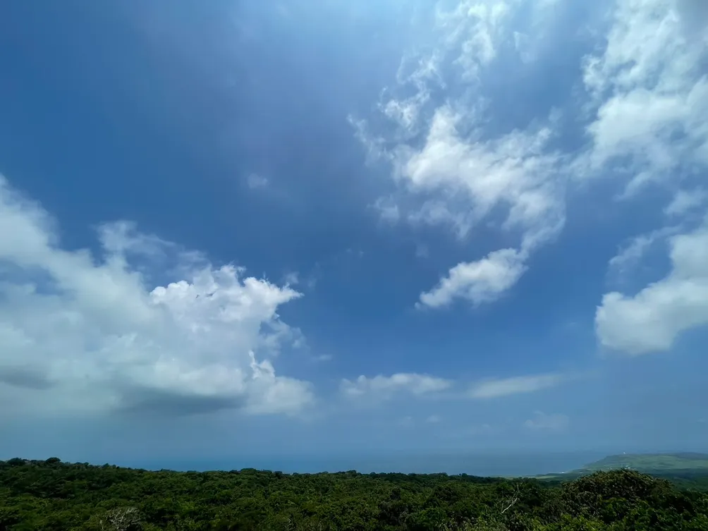 嘉義｜好口碑！