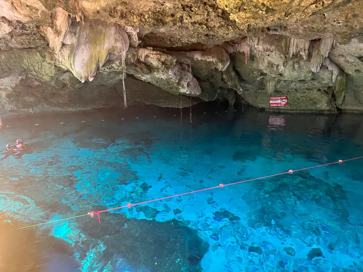 跳下水鑽進洞裡