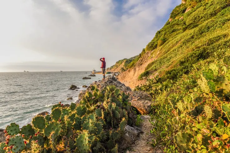 Source：Shutterstock