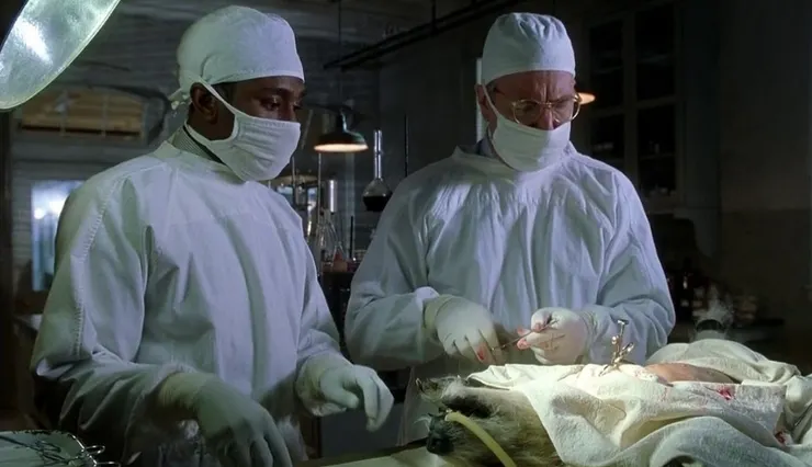 試圖用流浪狗狗的身體還原出藍嬰症