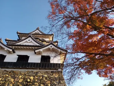 心很忙碌但是身體沒在動