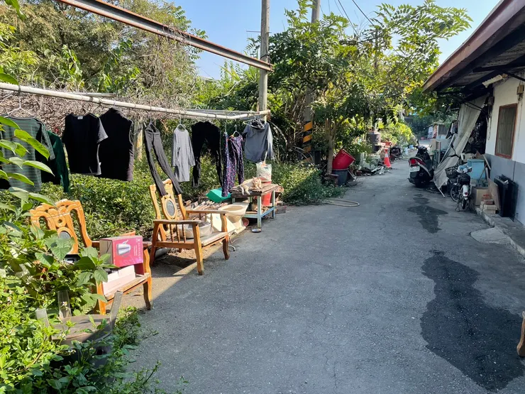 路途中偶遇曬太陽的貓貓