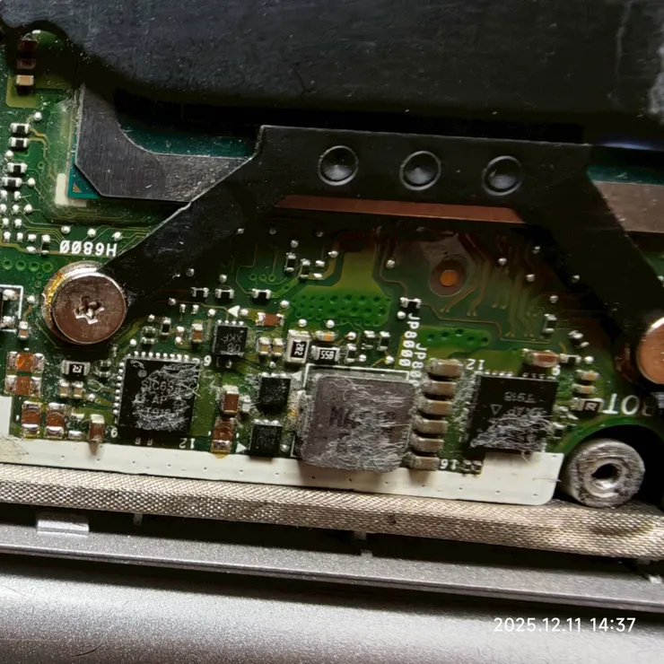 這一區都發霉長毛了!