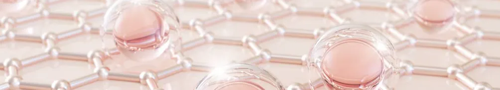 Deer 小路的沙龍