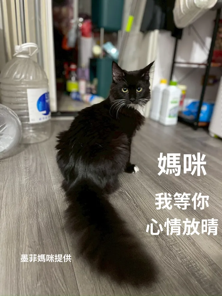 照片:墨菲媽媽提供