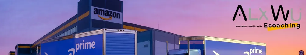 AlxwuEcoaching 開店 選品 物流 亞馬遜FBA 廣告投放技巧 亞馬遜電商教學 的沙龍