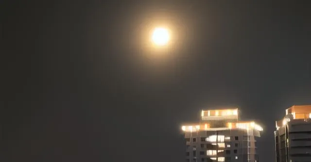 高潔之聲的沙龍