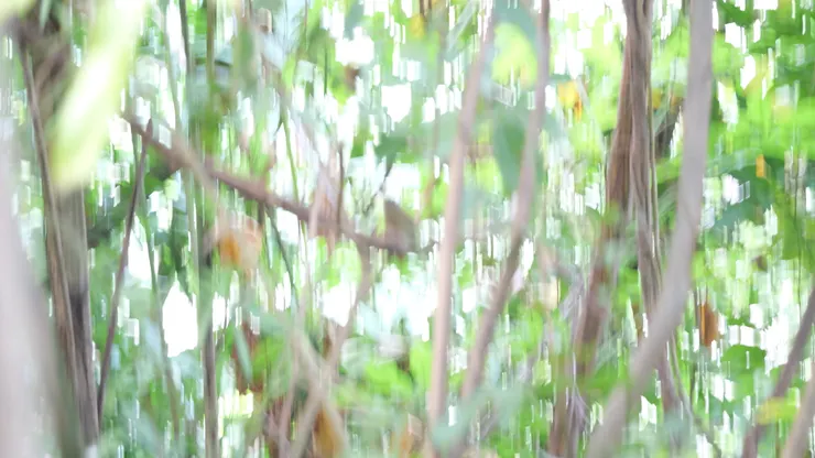 第一眼看到時興奮得手大震