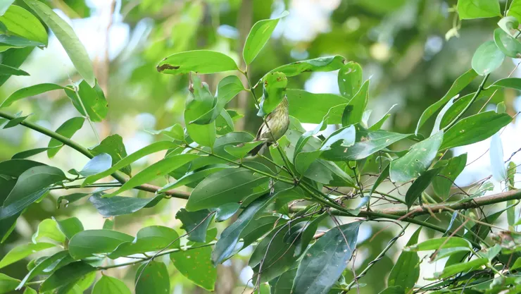 鏡頭也跟不上了