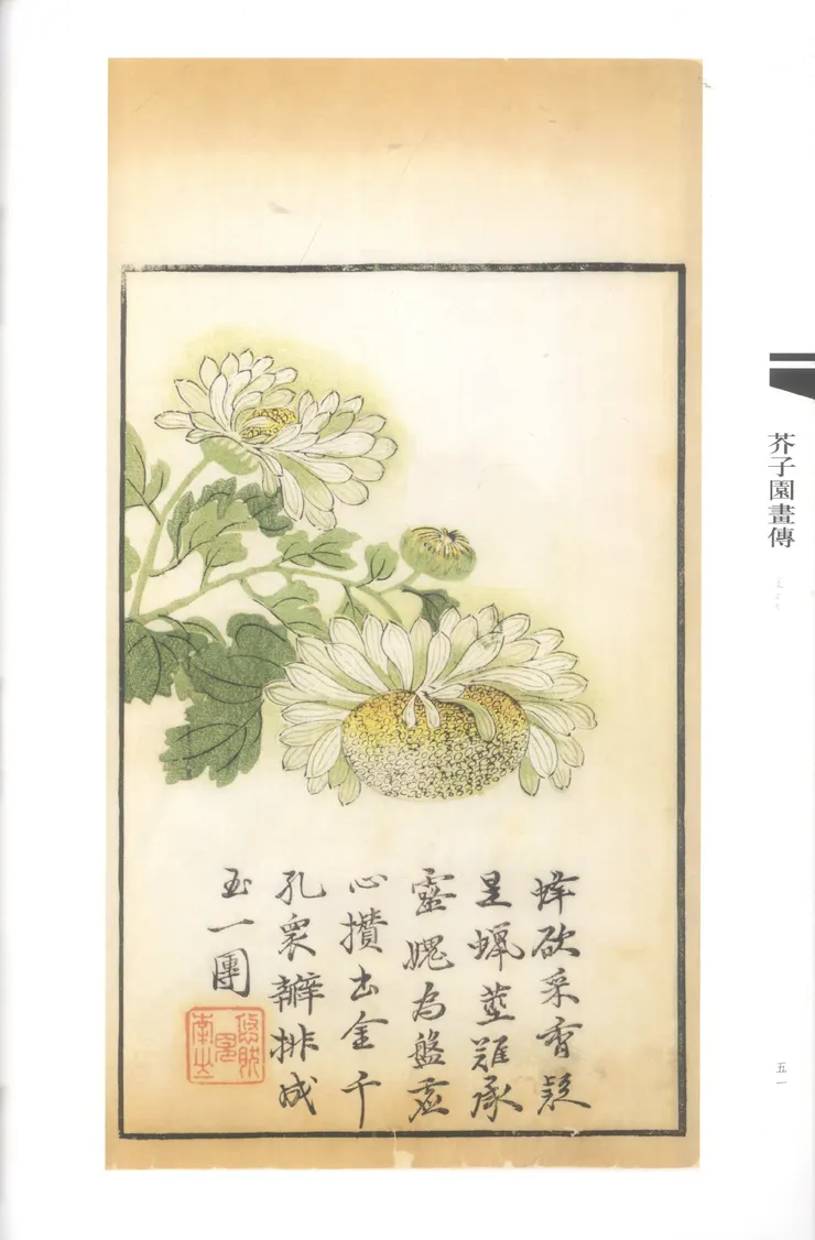 圖片取自芥子園畫傳・菊譜