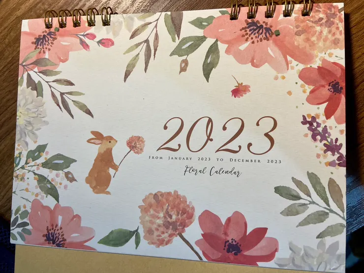 2023的起伏與變化呀!