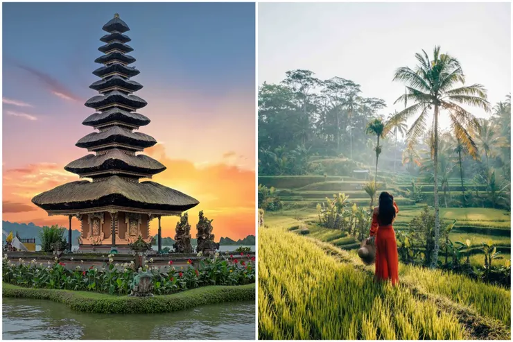 水神廟及Jatiluwih梯田網路圖