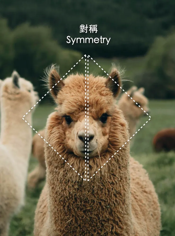 攝影師:Josiah Farrow