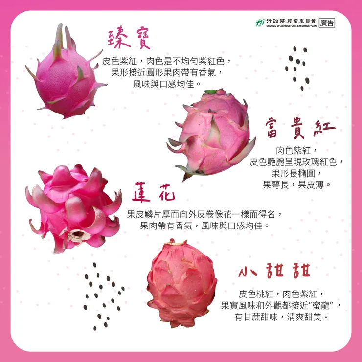 不可能真的有火龍果叫蓮花欸🪷圖片來源：農委會