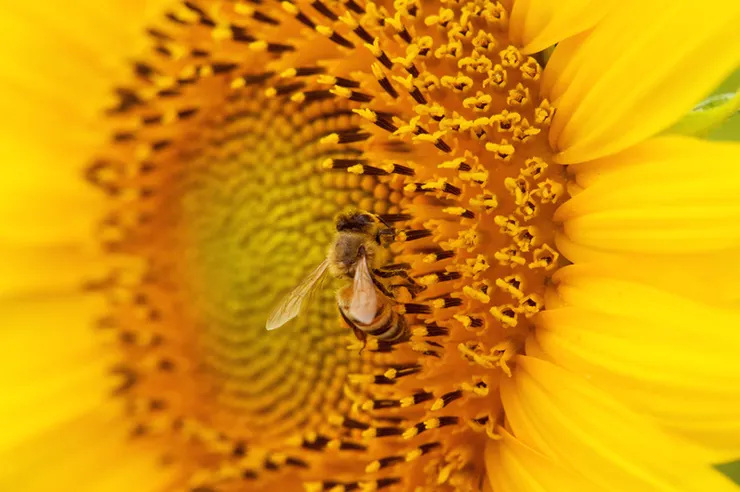 2013年攝於高雄杉林區