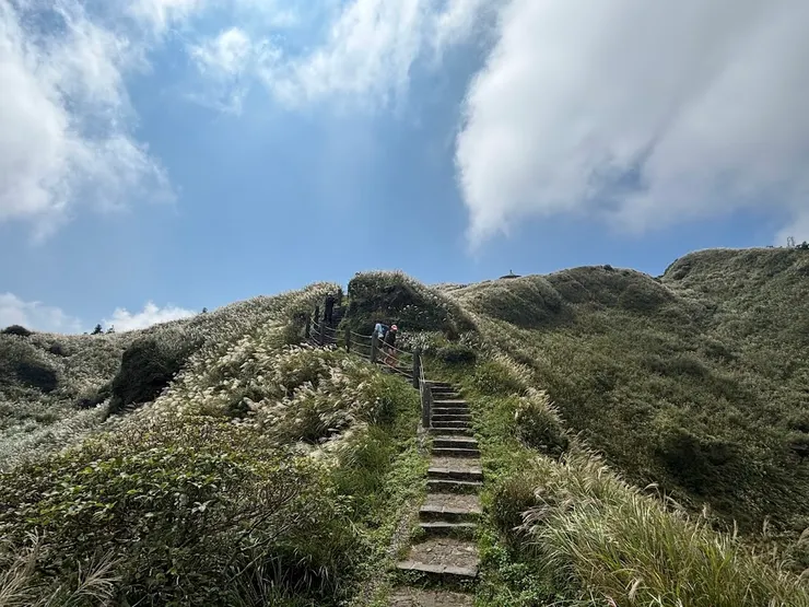 我們曾並肩而行，直到某個轉角，各自選了不同的方向。沒有爭執，也不再回頭，只是地圖從此被悄悄重繪。 拍攝地點：陽明山 七星山東峰往冷水坑路段