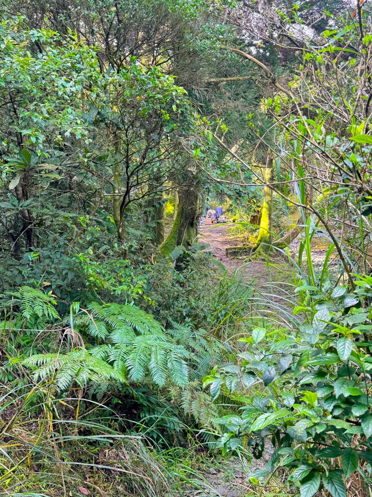 舒適的野營地點