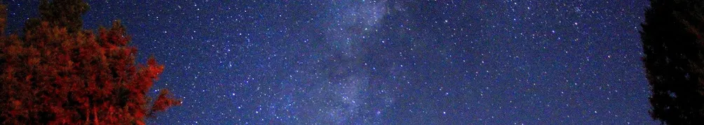 Yu の隨意說沙龍