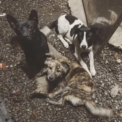 溫馨 Muni Druluan的沙龍