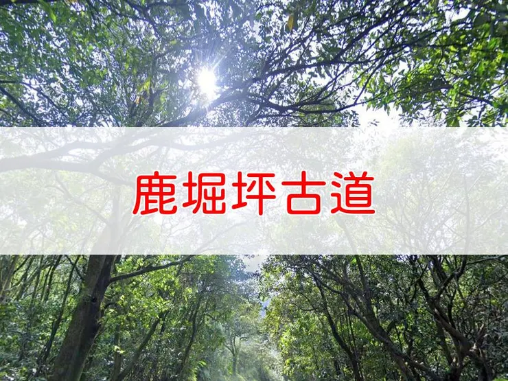 【新北】鹿堀坪古道 | 全長里程：4公里 | 難易度：低