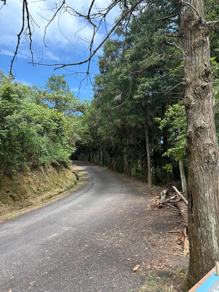 大部分路段是這樣傾斜的柏油路面