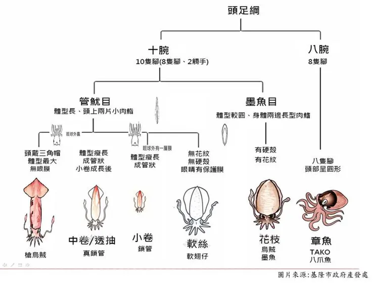憑感覺認定的事，其實都是經不起考驗的，本蛙不會僭越法律人事務，但是要吃海鮮找咱準沒錯